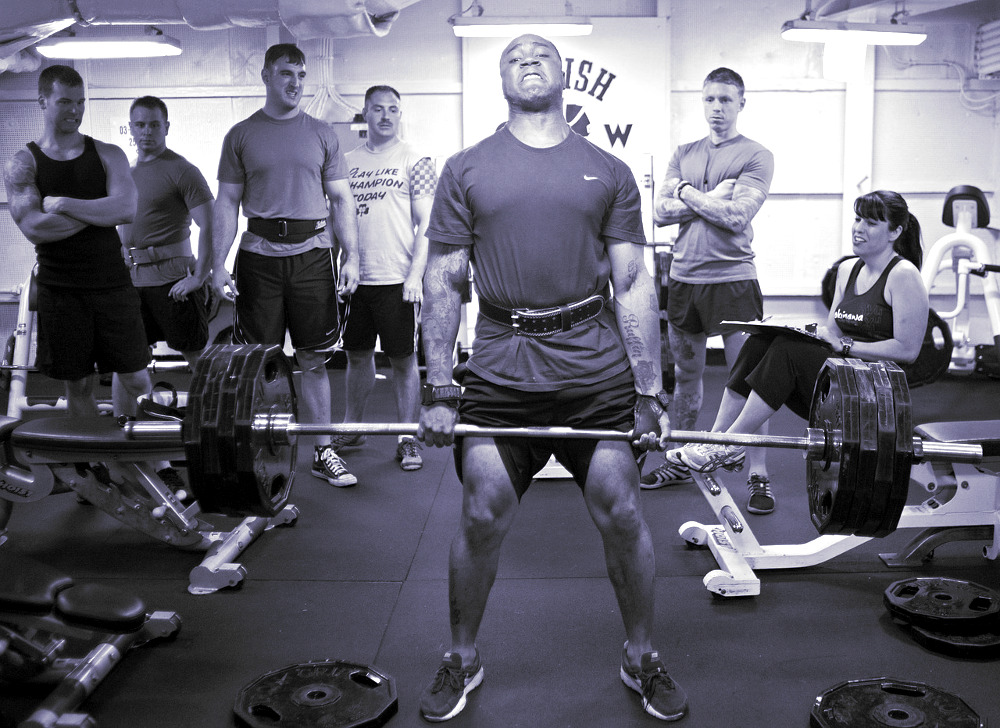 muscle growth supplements